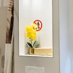 Апартаменты Neyla *